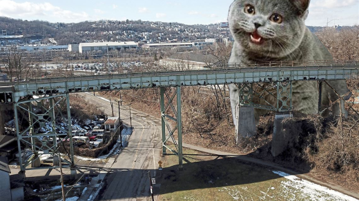 cheezburger cat looming over Swinburne Bridge